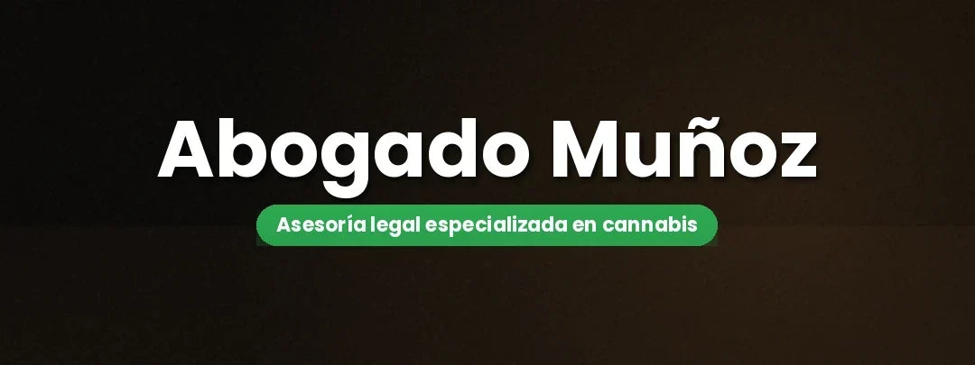 Mlegal Muñoz Abogados: Asesoría legal especializada en cannabis y Ley 20.000
