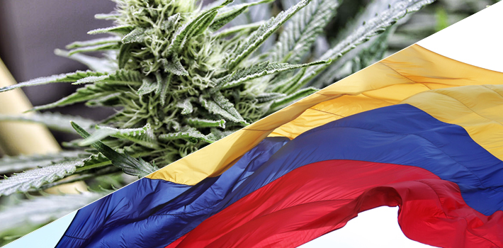 Colombia: Despenalización de uso de cannabis medicinal