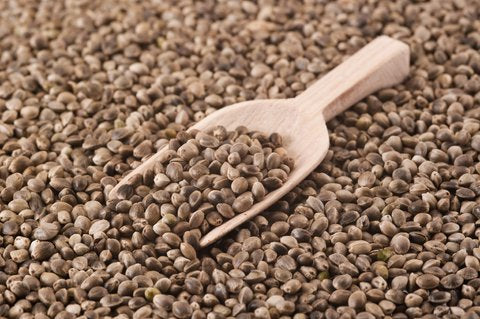 Beneficios de la semilla de cáñamo para la salud