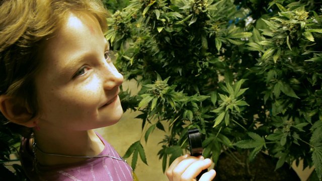Cannabis medicinal en niños