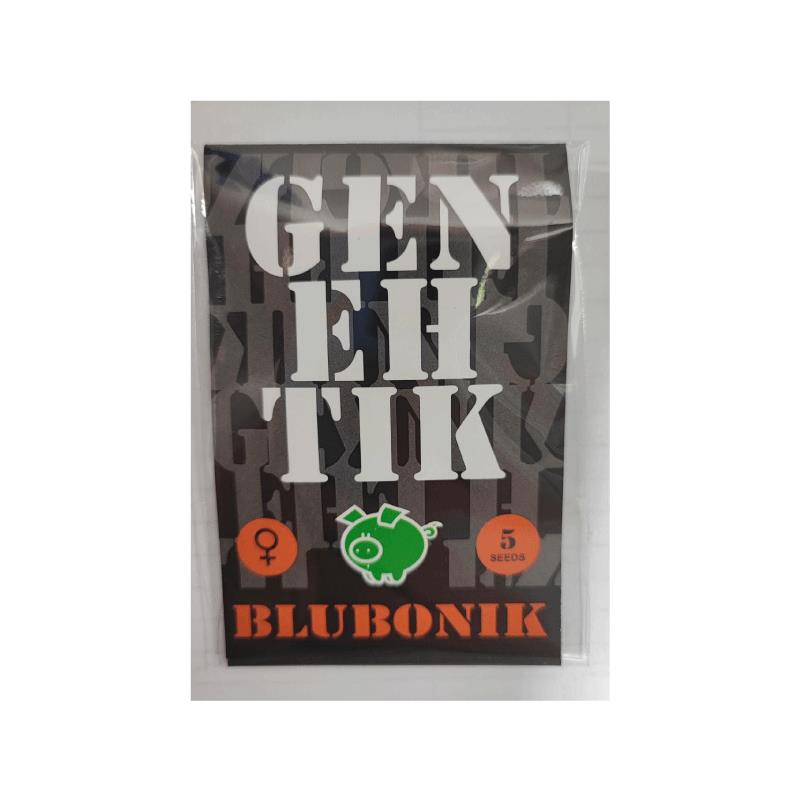 GENEHTIK BLUBONIK 5UDS