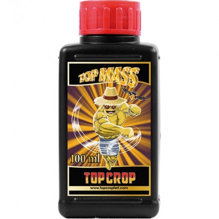 TOP MASS 100ML-TOP CROP (DS)