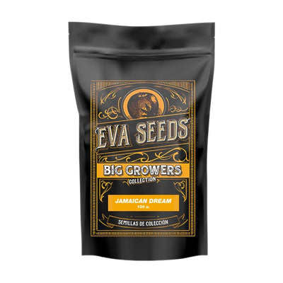 JAMAICAN DREAM FEM X100 - EVA SEEDS (DS)