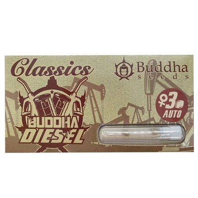 DIESEL AUTO X3+1 - BUDDHA SEEDS (DS)
