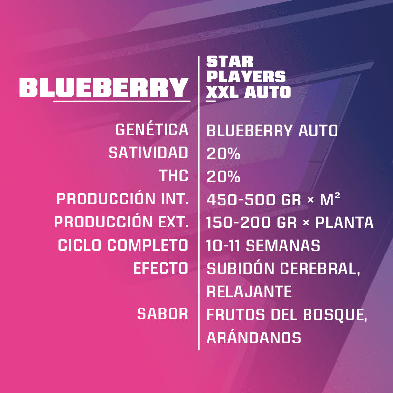 BLUE BERRY AUTO X4 -BSF (DS)