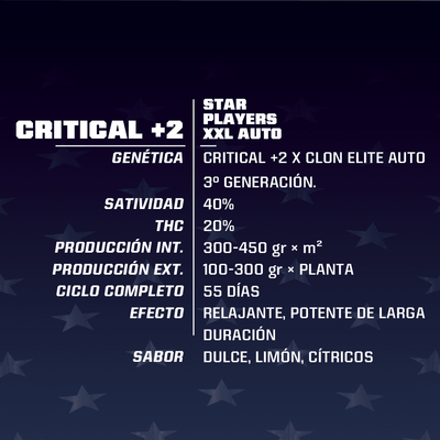 CRITICAL +2 XXL AUTO X7-BSF (DS)