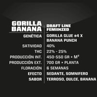 GORILLA BANANA FEM X4-BSF (DS)