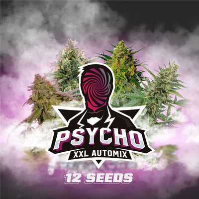 PSYCHO XXL AUTO X12 -BSF (DS)