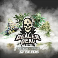 DEALER DEAL XXL AUTO X12 -BSF (DS)