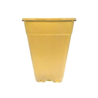 MACETA CUADRADA DORADA 18LT (DS)