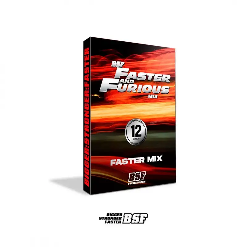 FASTER AND FURIOUS FASTER MIX FEM X12-BSF (DS)
