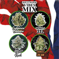 DELIRIUM SEEDS MIX HOLLYWOOD VIBE AUTO 8UDS