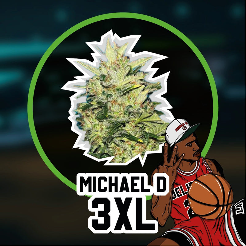 MICHAEL D 3XL AUTO X2-DELIRIUM SEEDS (DS)
