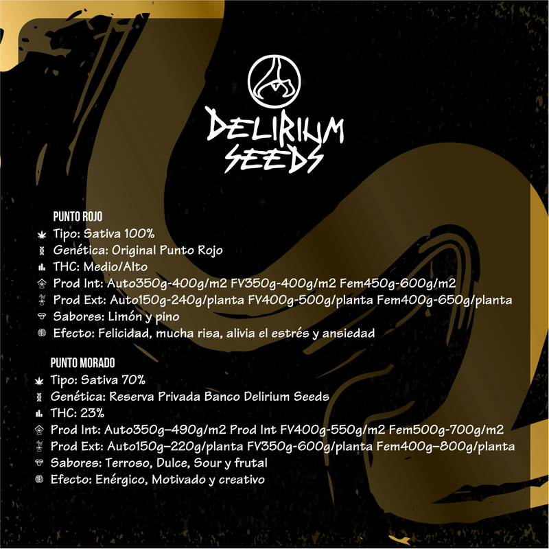 MIX LEYENDAS FAST VERSION X8-DELIRIUM SEEDS (DS)