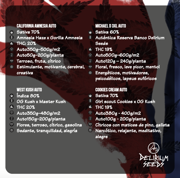MIX HOLLYWOOD VIBE AUTO X8-DELIRIUM SEEDS (DS)
