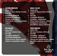 MIX HOLLYWOOD VIBE AUTO X14-DELIRIUM SEEDS (DS)