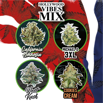 MIX HOLLYWOOD VIBE AUTO X14-DELIRIUM SEEDS (DS)