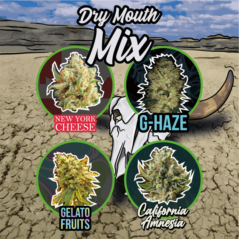 MIX DRY MOUTH LINE AUTO X14-DELIRIUM SEEDS (DS)