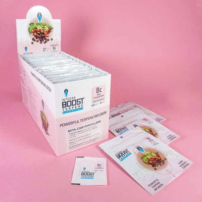 REGULADOR DE HUMEDAD CON TERPENO B-CARYOPHYLLENE 4G 62%-INTEGRA BOOST (DS)