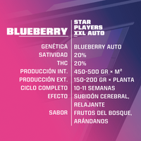 BLUE BERRY AUTO X12-BSF (DS)