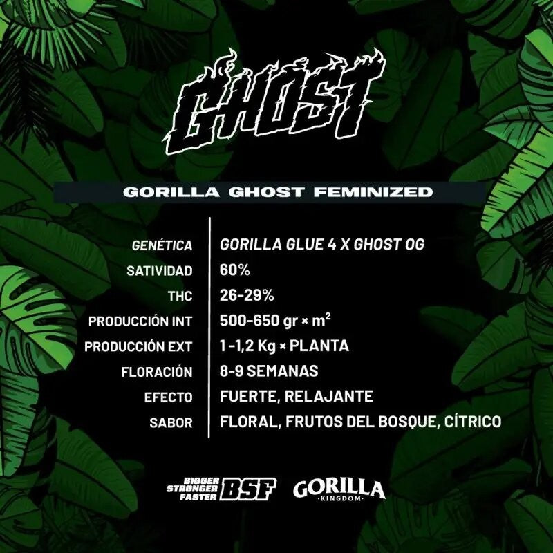 GORILLA GHOST GK FEM X2-BSF (DS)