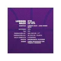 LEBRON HAZE XXL AUTO X12-BSF (DS)
