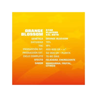 ORANGE BLOSSOM XXL AUTO X12-BSF (DS)