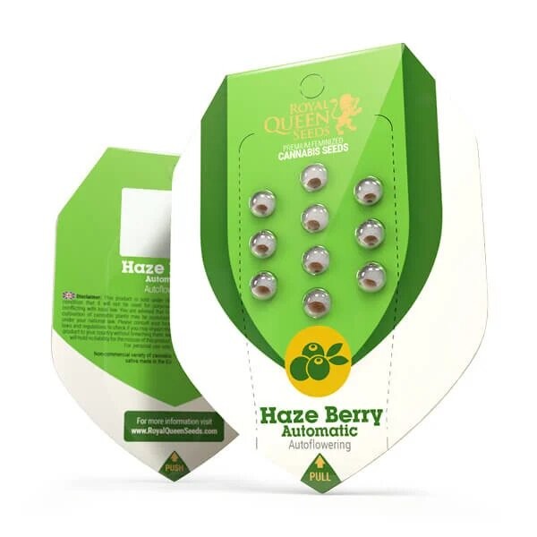 HAZE BERRY AUTO X10-ROYAL QUEEN (DS)