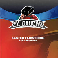 EL GAUCHO FASTER SP X4-BSF (DS)