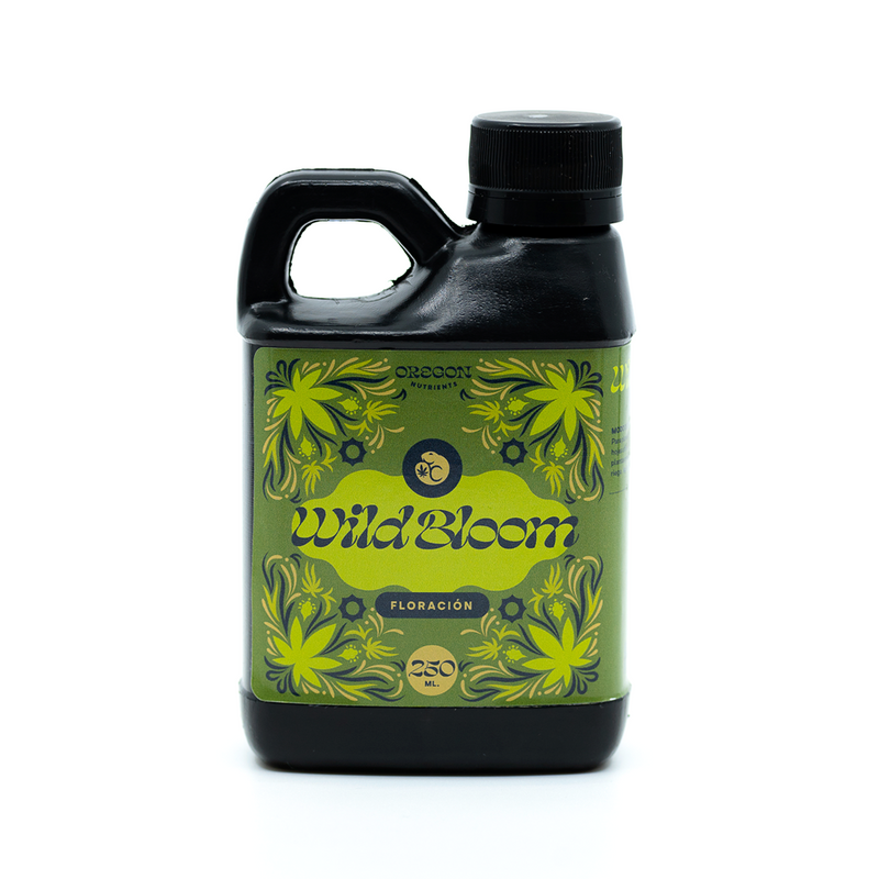 Wild Bloom