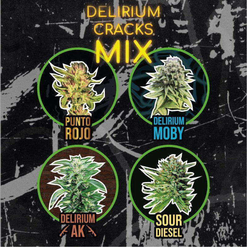 MIX DELIRIUM CRACKS AUTO X14-DELIRIUM SEEDS (DS)