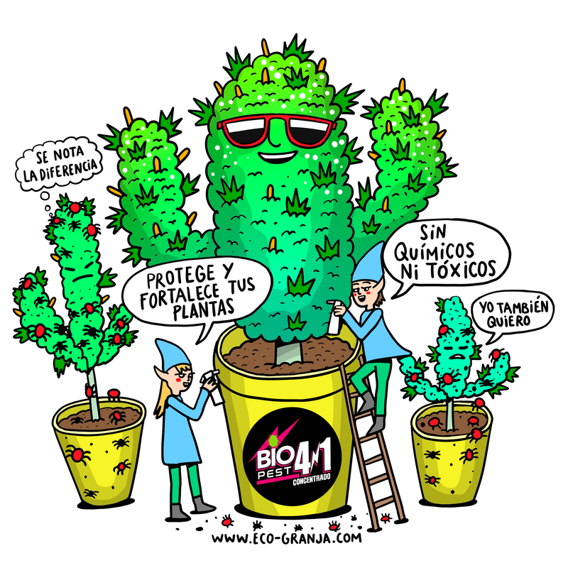 ANTIPLAGA CONCENTRADO 4 EN 1 250CC-BIOPEST (DS)