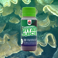 VITAL JUICE BIO ESTIMULANTE 60ML-SUSTRATO TECNICO (DS)