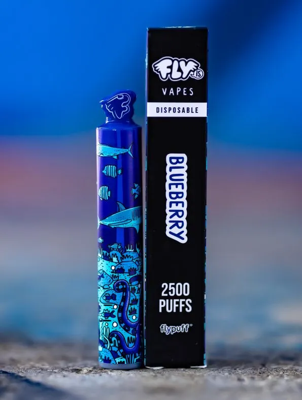 VAPORIZADOR 2500 BLUEBERRY-FLY IS (DS)