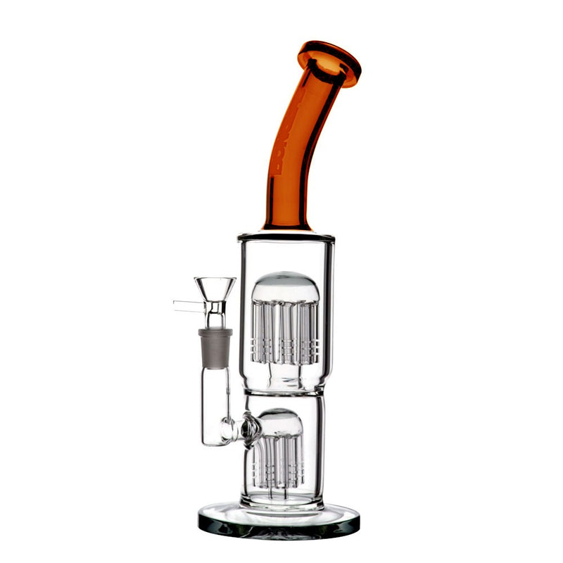 CLASSY AMBER-BONGLAB (DS)