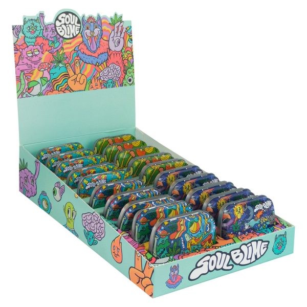 CAJA CONTENEDORA GRANDE TAPA BISAGRA 12U-SOULBLIME