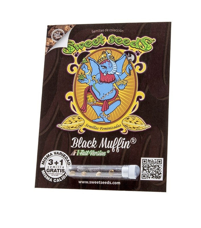 BLACK MUFFIN F1 FAST VERSION X3+1-SWEET SEEDS