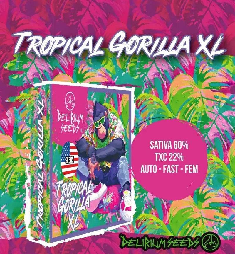 TROPICAL GORILLA XL AUTO X4-DELIRIUM SEEDS (DS)