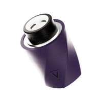 VAPORIZADOR AERIS GRAPE-FOCUS V (DS)