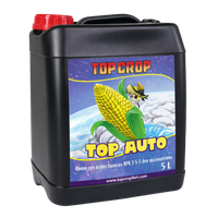 TOP AUTO 5LT-TOP CROP (DS)