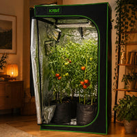 CARPA CROPBOX 80X80X160-KASVI (DS)
