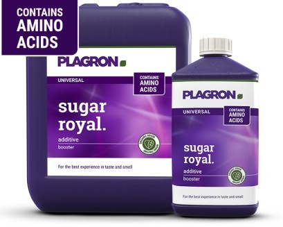 SUGAR ROYAL 100ML- PLAGRON