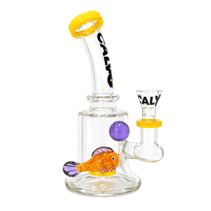 BONG RIG AQUA 19 CM YELLOW - CALVO