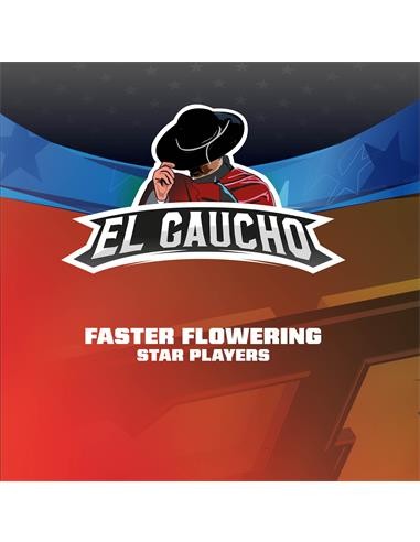 EL GAUCHO FASTER SP FEM X12-BSF