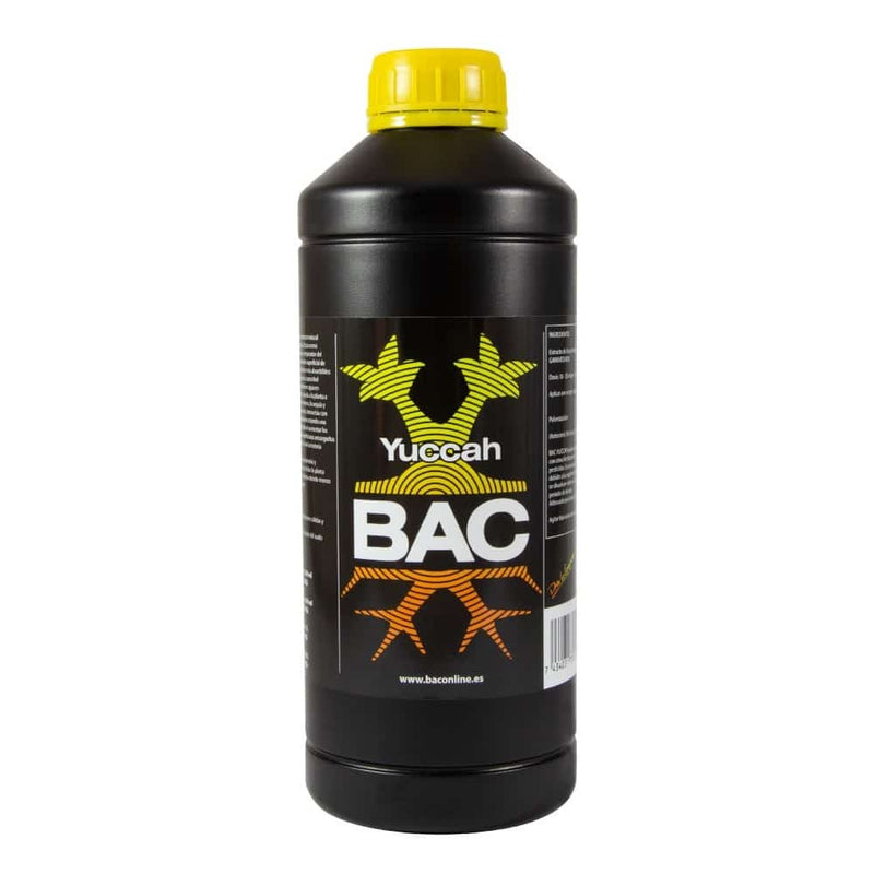 YUCCAH 1LT-BAC (DS)
