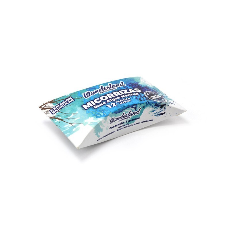 MICORRIZAS 6G WONDERLAND