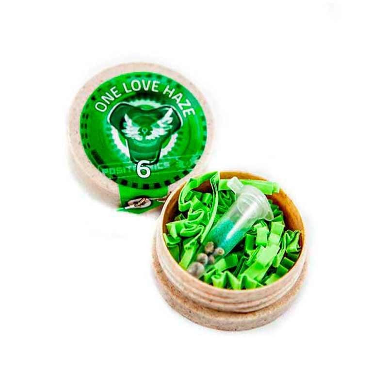 POSITRONICS ONE LOVE HAZE 6UDS