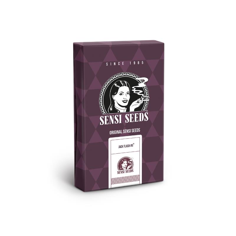 SENSI SEEDS JACK FLASH 5 3UDS