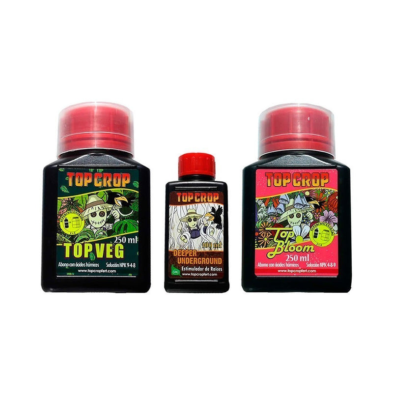 TRIPACK -TOP CROP (DS)