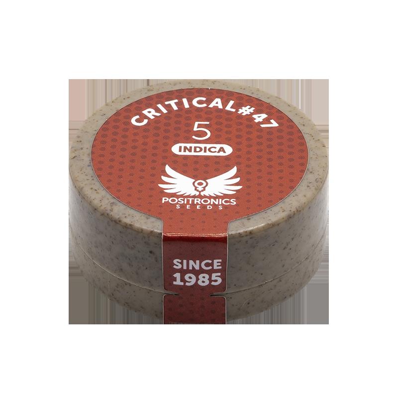 POSITRONICS CRITICAL 47 5UDS